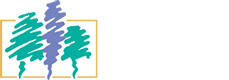 Knollwood Dental Care - Sterling Heights Dentist